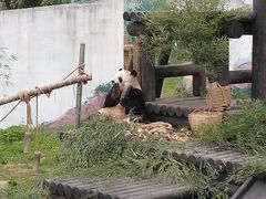 -无锡动物园·太湖欢乐园