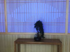 -厦门源昌凯宾斯基大酒店-隠れ鉄板焼