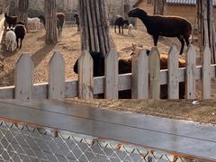 -鄂尔多斯野生动物园