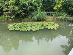 -天台山琼台仙谷景区