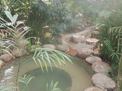 -三江森林温泉度假区