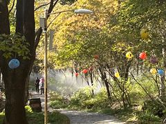 -帽儿山风景区