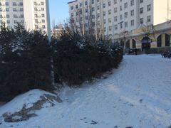 -黑龙江大学