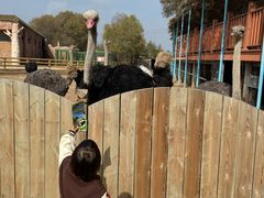 -鄂尔多斯野生动物园