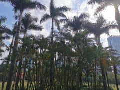 -荔香公园