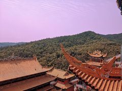-东莞市大岭山森林公园