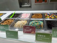 -Salud撒露欧洲冻酸奶(北苑上品店)