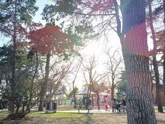 -长春市南湖公园