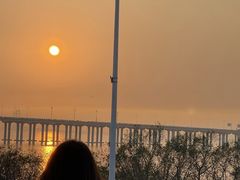 -宝安西湾红树林湿地公园