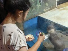 -华夏文旅海洋公园