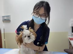 -美联众合动物医院·24h转诊中心