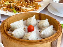 -泉龙渔村·粤式早茶·金牌烧鹅(中山三乡店)