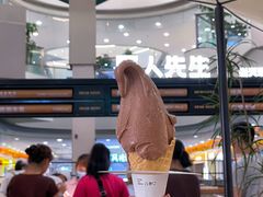 -野人先生Gelato(上海长宁龙之梦店)