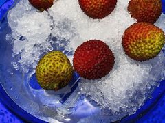 -四季民福烤鸭店(前门店)