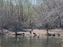 -长白岛森林公园