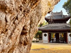 -惠山古镇·寄畅园