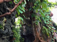 -北京植物园-展览温室