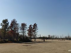 -上海长兴岛郊野公园