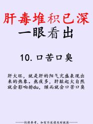 点击看大图 -玛莲朵·海菲秀冰珀科