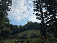 -深圳仙湖植物园