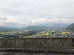 -将就吃农家特色土菜馆