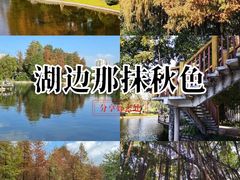 -晓港公园