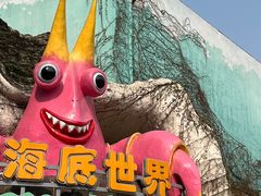-海合安成都极地海洋公园