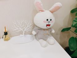 -贞禾医美·连锁