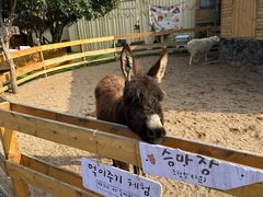 -HERRE·FARM 赫尔露营农场·团建聚会包场