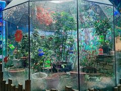 -上海大自然野生昆虫馆(东方明珠·爬宠昆虫探索中心)