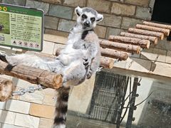 -石家庄市动物园