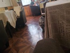 -隅cafe(傅厚岗店)