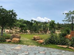 -东莞植物园