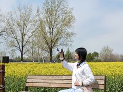 -汉长安城未央宫国家考古遗址公园