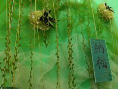 -尚音艺校(明霞路校区)