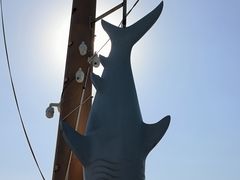 -银海大世界