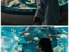 -福州罗源湾海洋世界旅游区