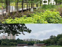 -映月湖公园