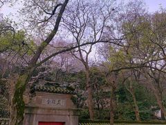 -宝界山林公园