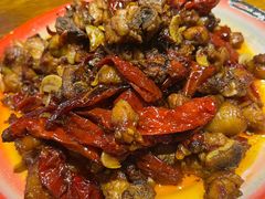 -柴窝堡22号辣子鸡·传承新疆菜