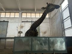 -石家庄市动物园