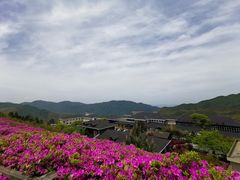 -江南天池