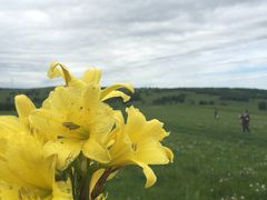 -塞罕坝国家级自然保护区