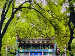 -北京国子监胡同