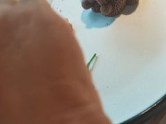 -粤点越有·茶点·粤菜(樵岭国际店)