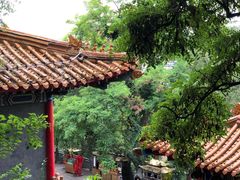 -高尔山公园
