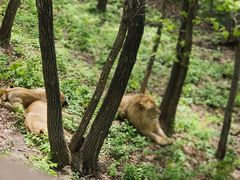 -哈尔滨北方森林动物园