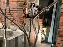 -园里火锅(仁和新城店)