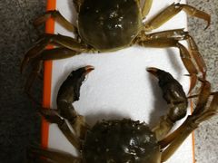 -盒马鲜生(大成店)