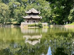 -习家池